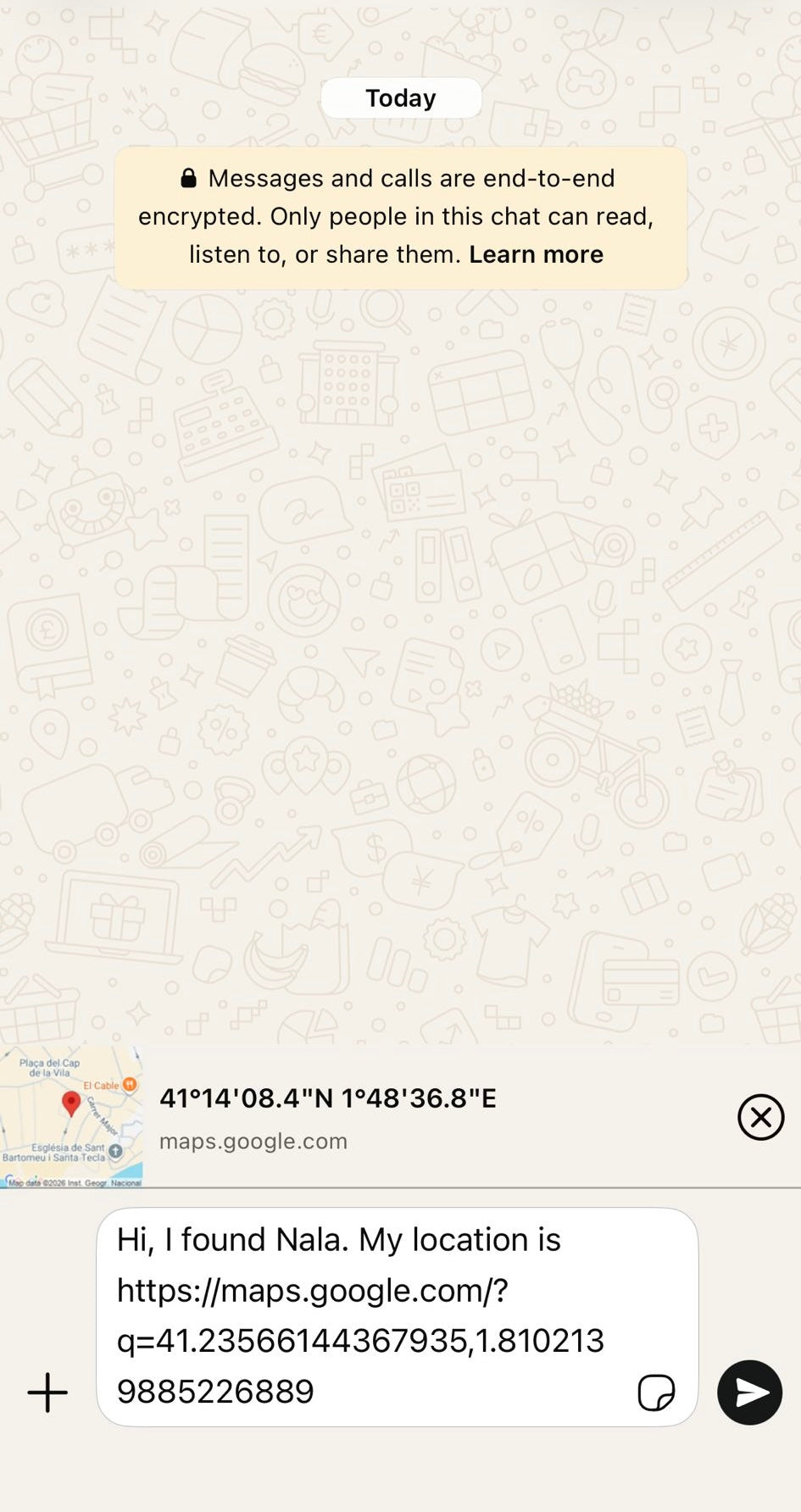Smart QR Pet Tag